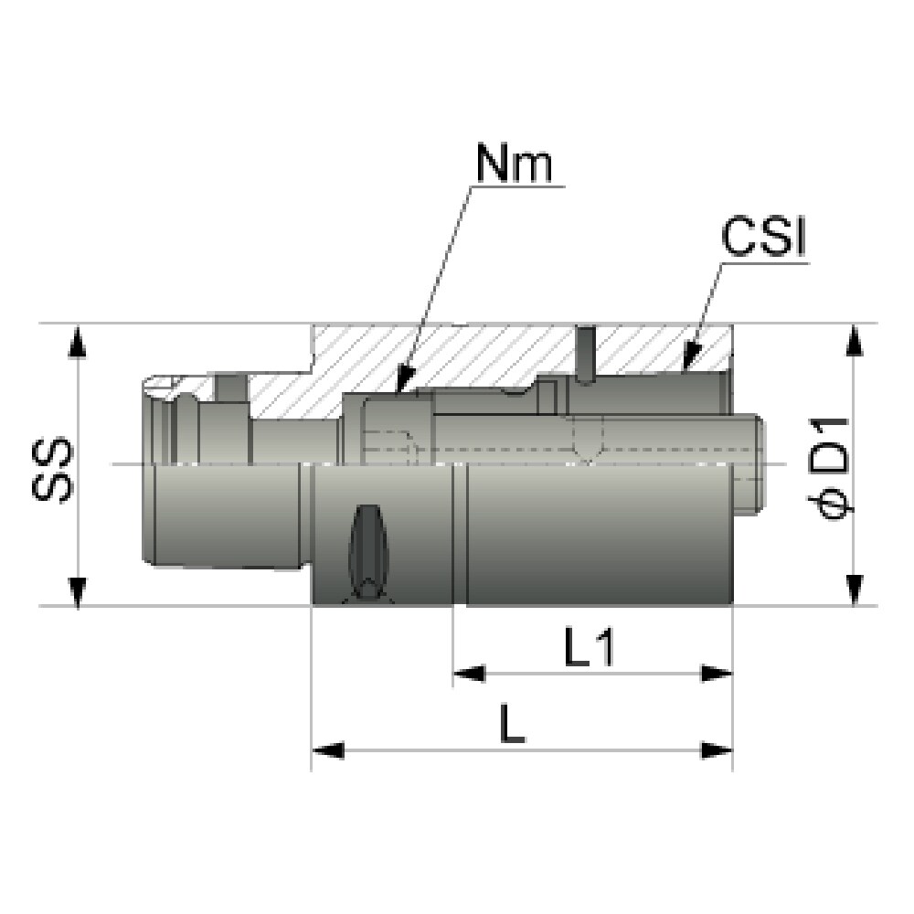 Beli Tungaloy Tooling System Holder C-EX C4EX-060 1pc | monotaro.id